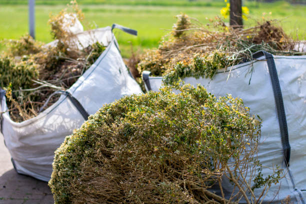 Best Mattress Disposal  in Hailey, ID